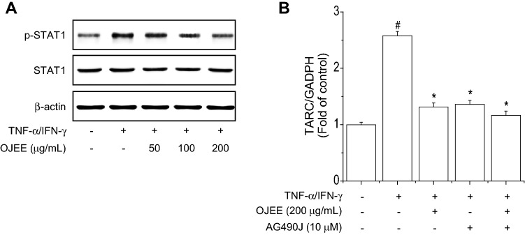 Fig. 6