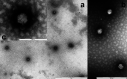 FIG 2