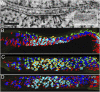 Fig. 4.