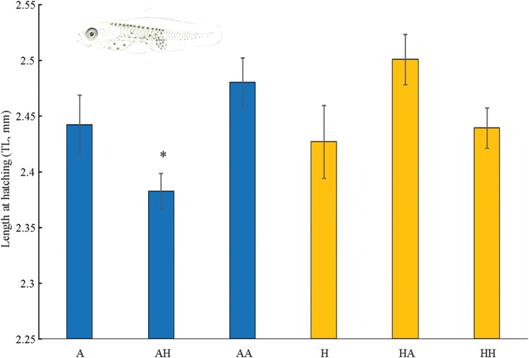 Figure 3: