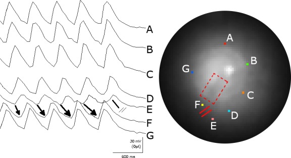 Figure 8