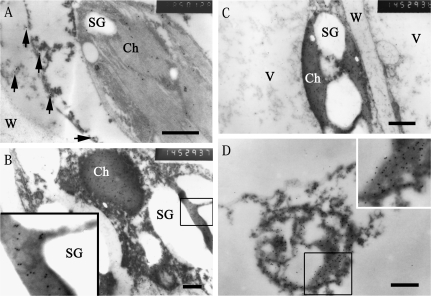 Fig. 5.