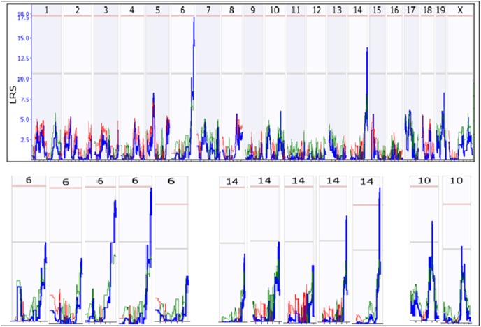 Figure 6