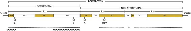 Fig. 2