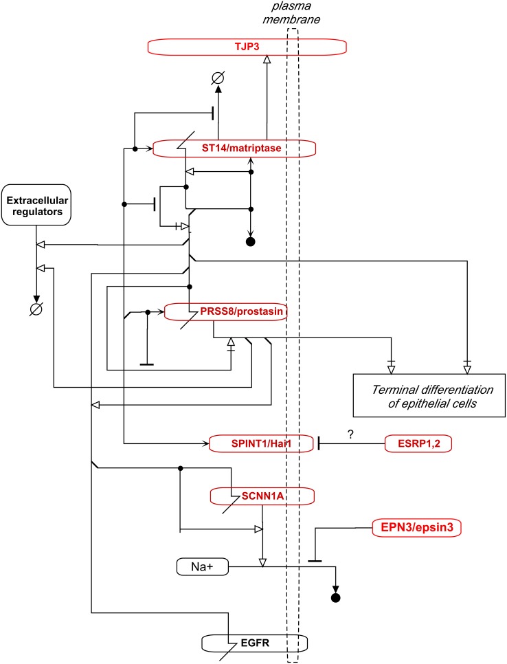 Figure 15