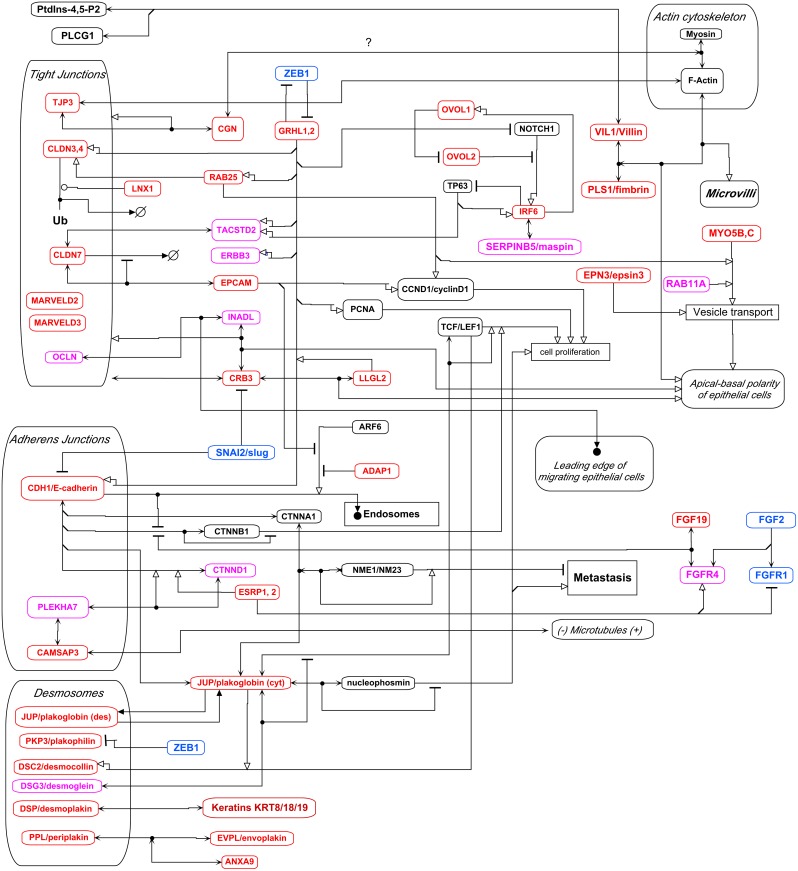 Figure 14