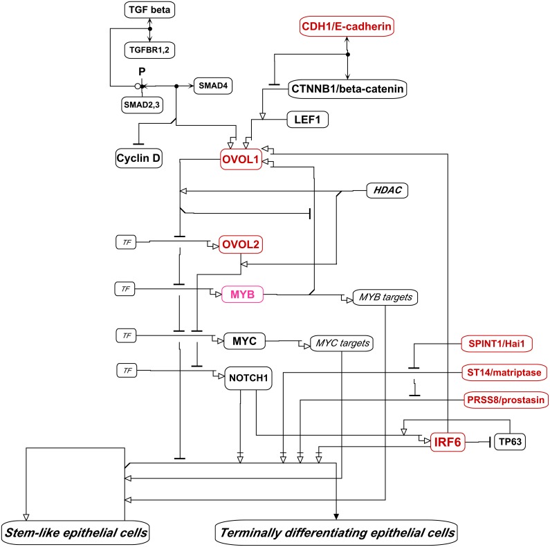 Figure 16