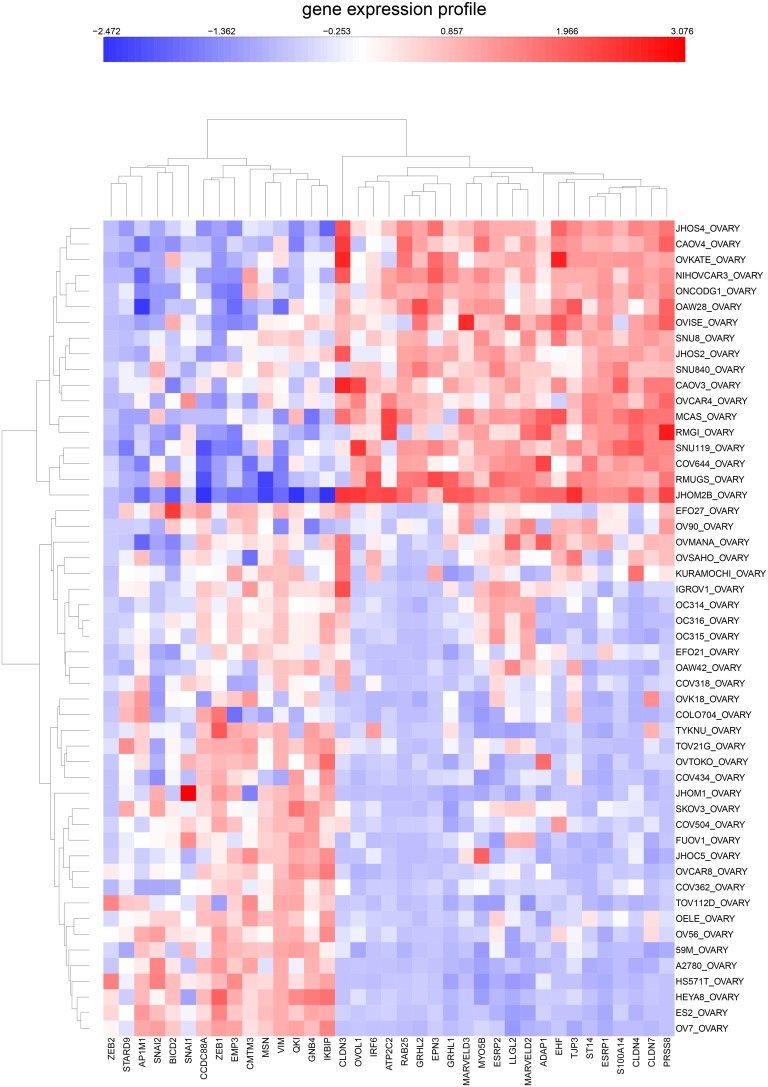 Figure 13