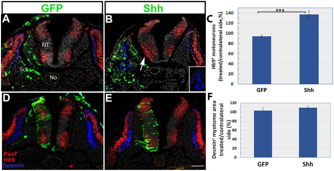 Fig. 7.