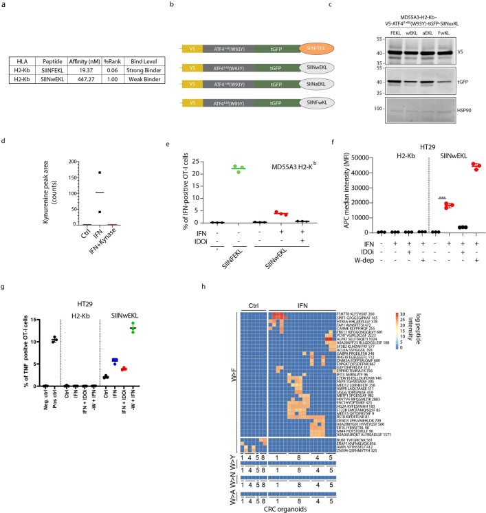 Extended Data Fig. 5