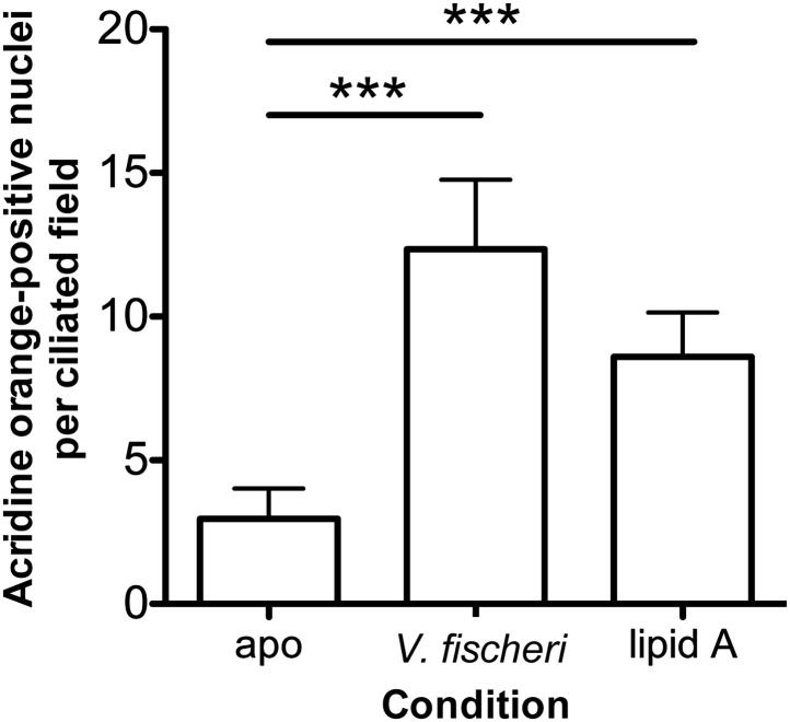 Figure 1—figure supplement 5.