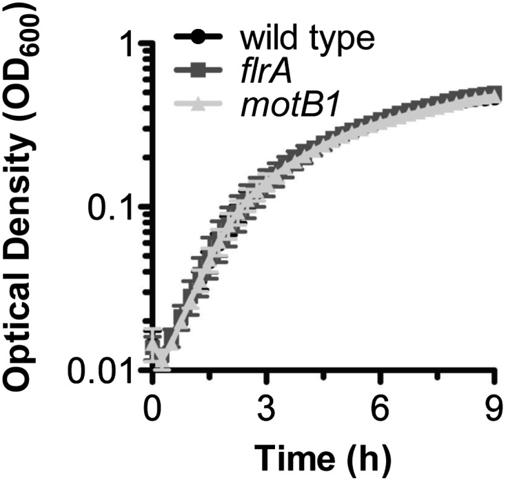 Figure 2—figure supplement 1.