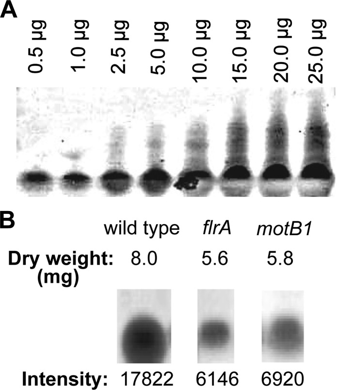 Figure 2—figure supplement 2.