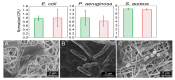 Figure 22