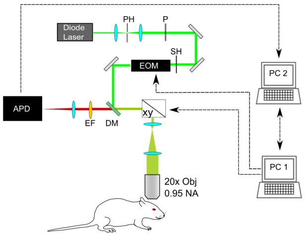 Fig. 1