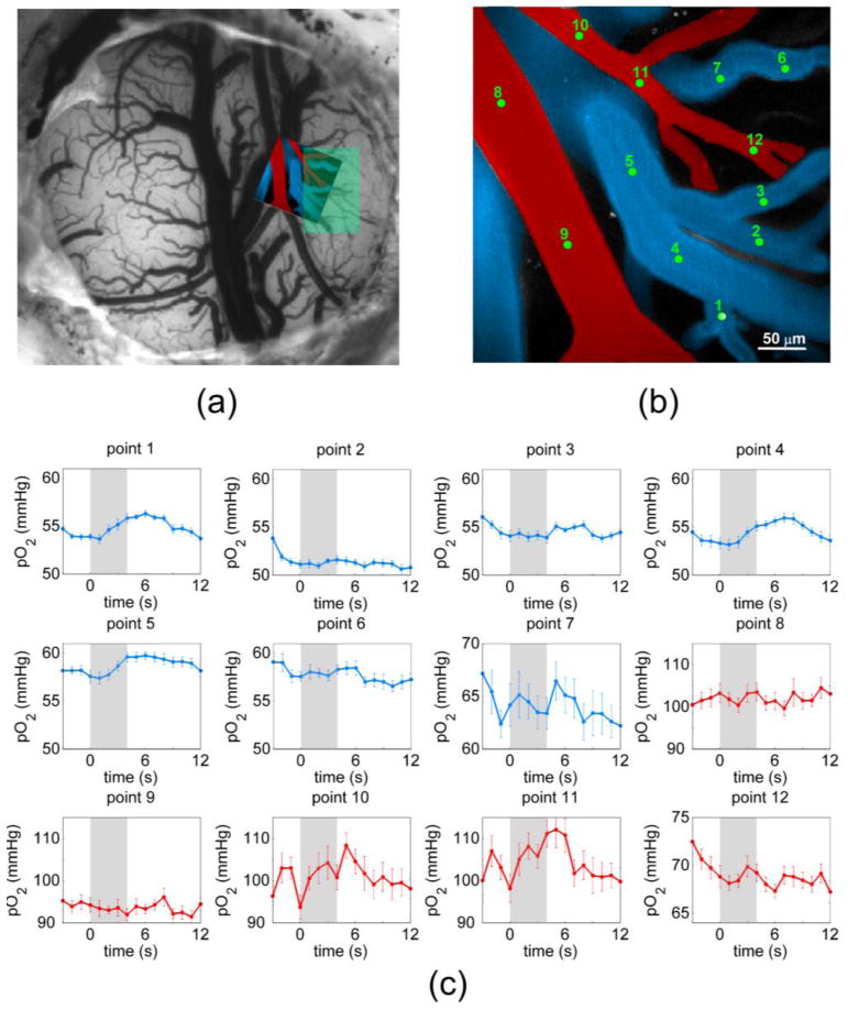 Fig. 4