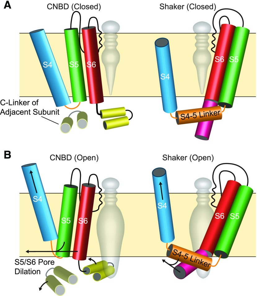 Figure 6.