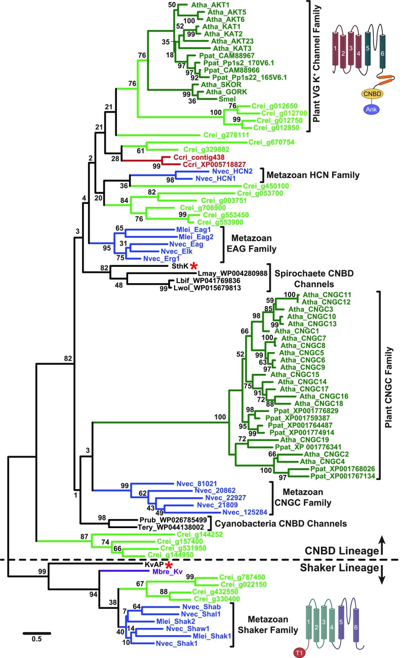 Figure 4.