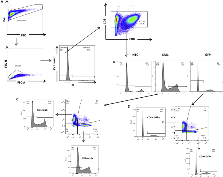 Figure 4