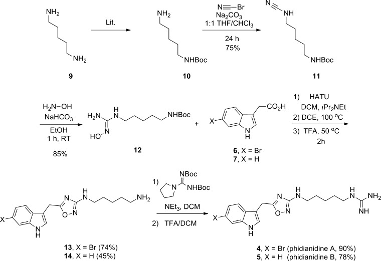 Scheme 1