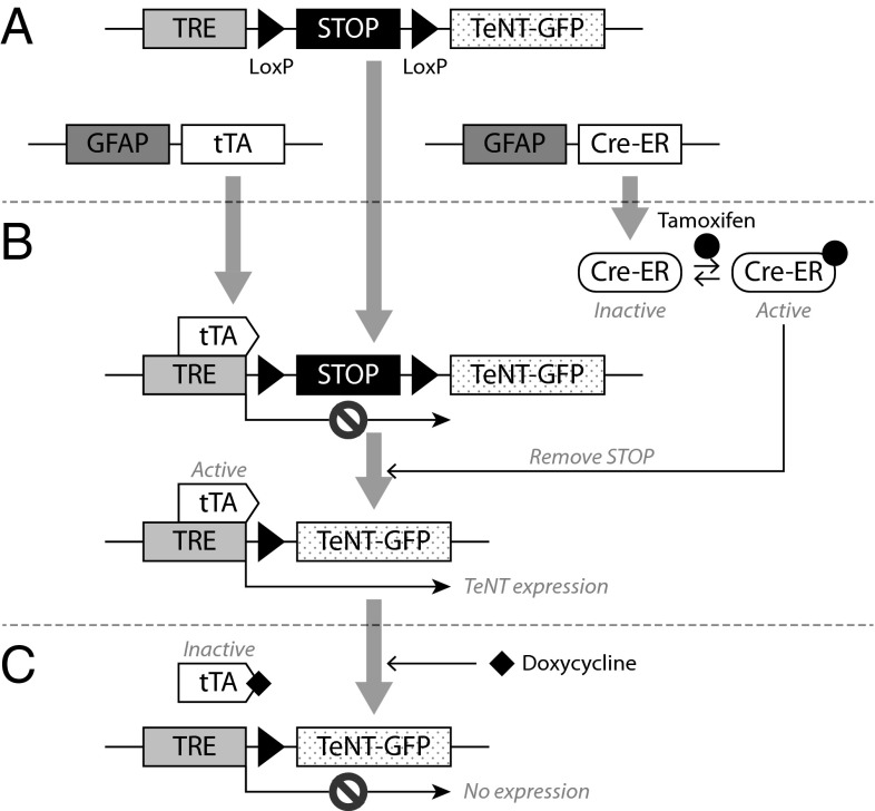 Fig. 4.