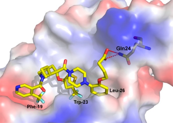 Figure 4