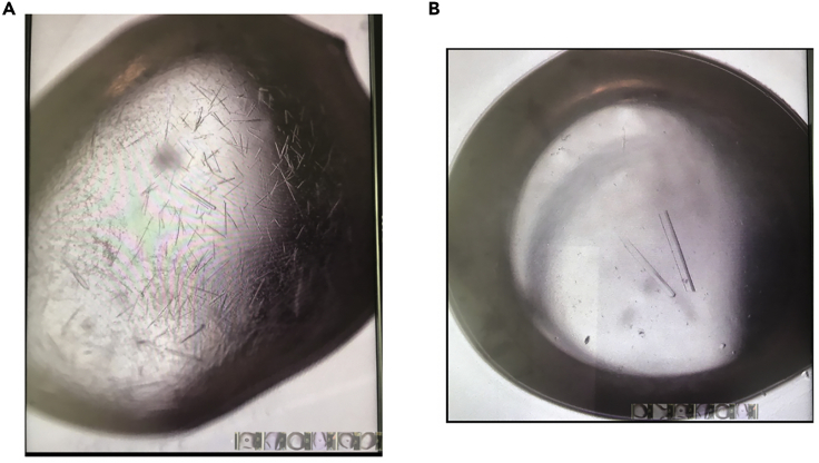 Figure 5