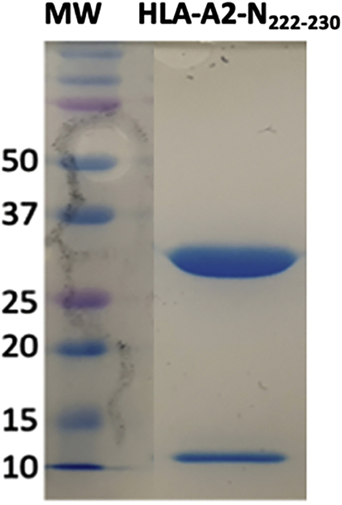 Figure 4