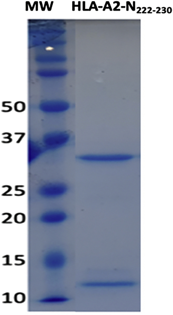 Figure 2