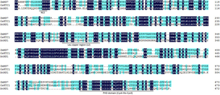 Figure 7