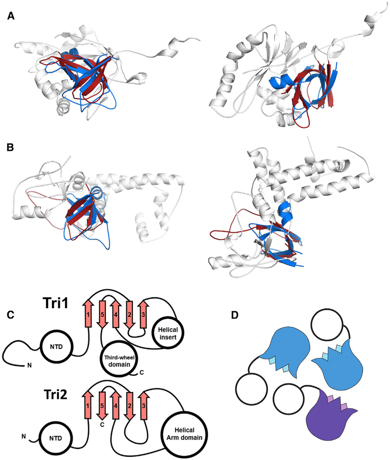 Figure 4.