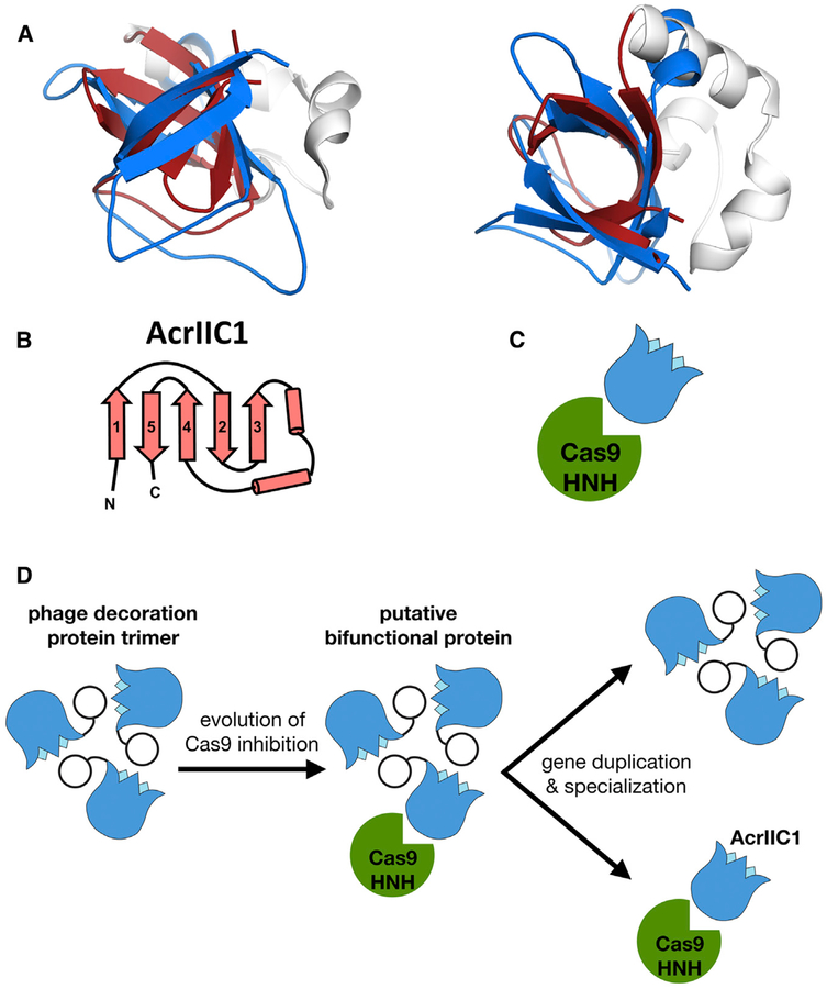 Figure 5.