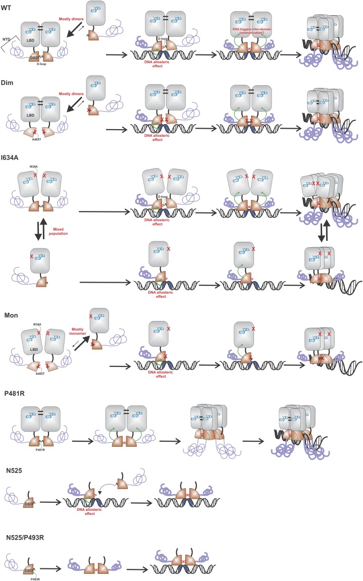 Fig. S6.