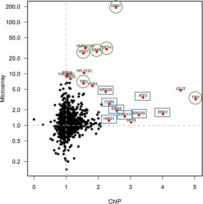 FIGURE 5: