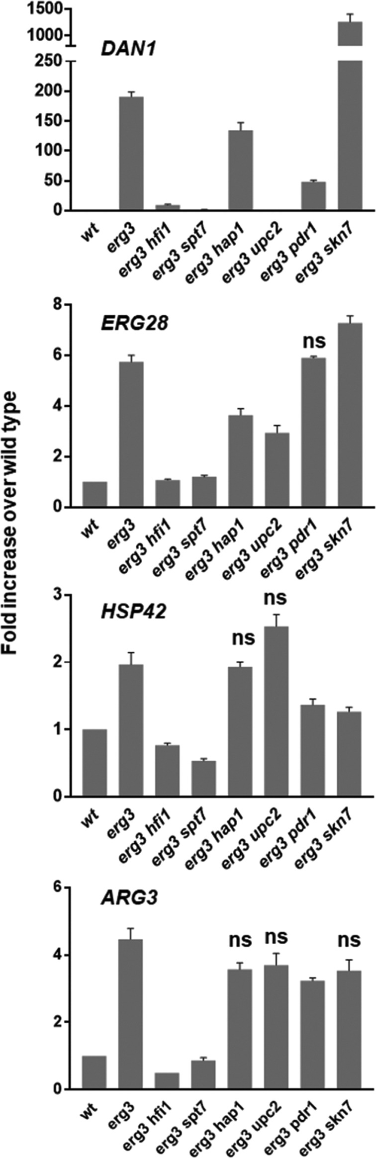 FIGURE 6: