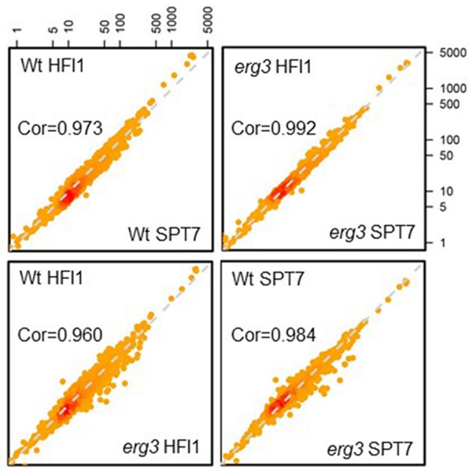 FIGURE 4: