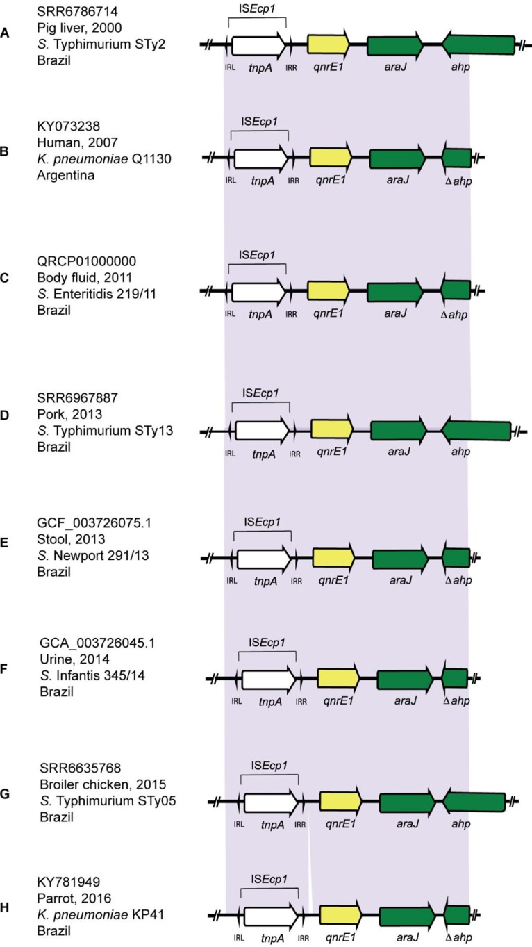 FIG 1