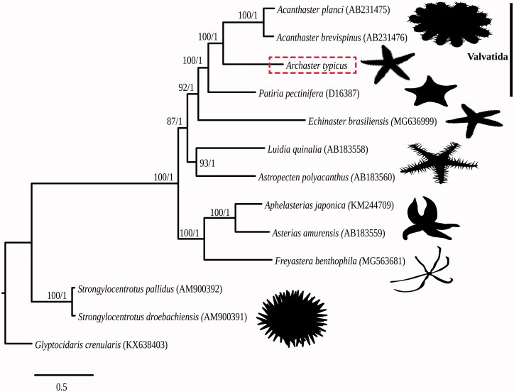 Figure 1.