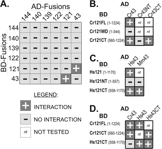 FIGURE 3.