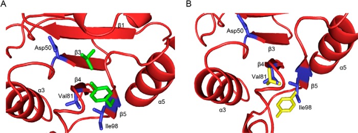 FIGURE 9.