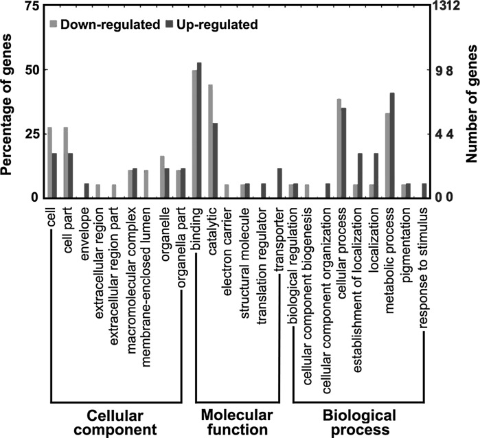 Fig. 3