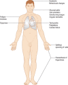Figure 3.4