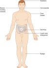 Figure 3.20