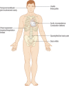 Figure 3.5