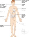 Figure 3.21