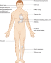 Figure 3.38