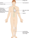 Figure 3.31
