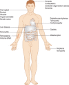 Figure 3.3