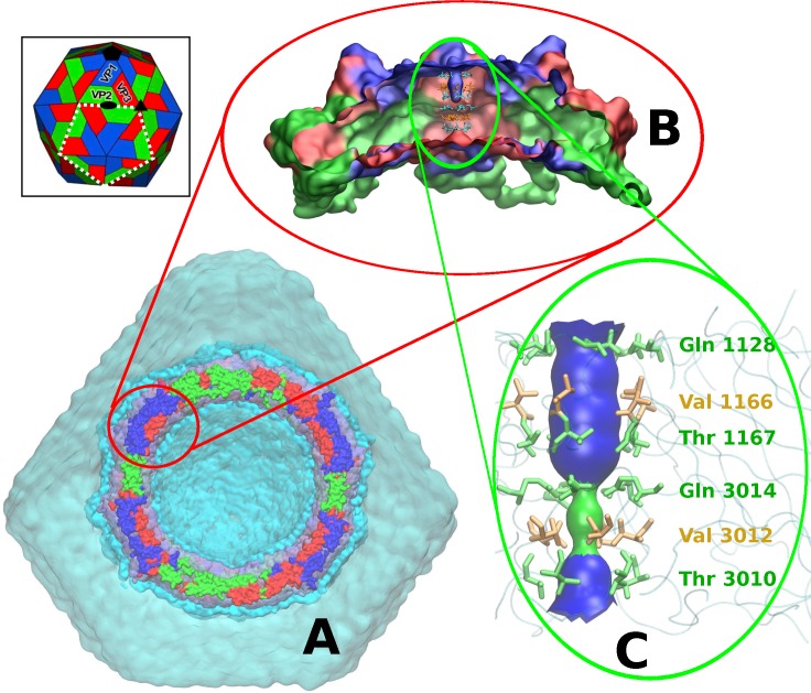 Fig 1