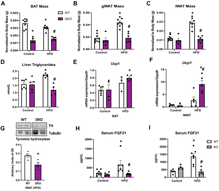 Figure 6—figure supplement 1.